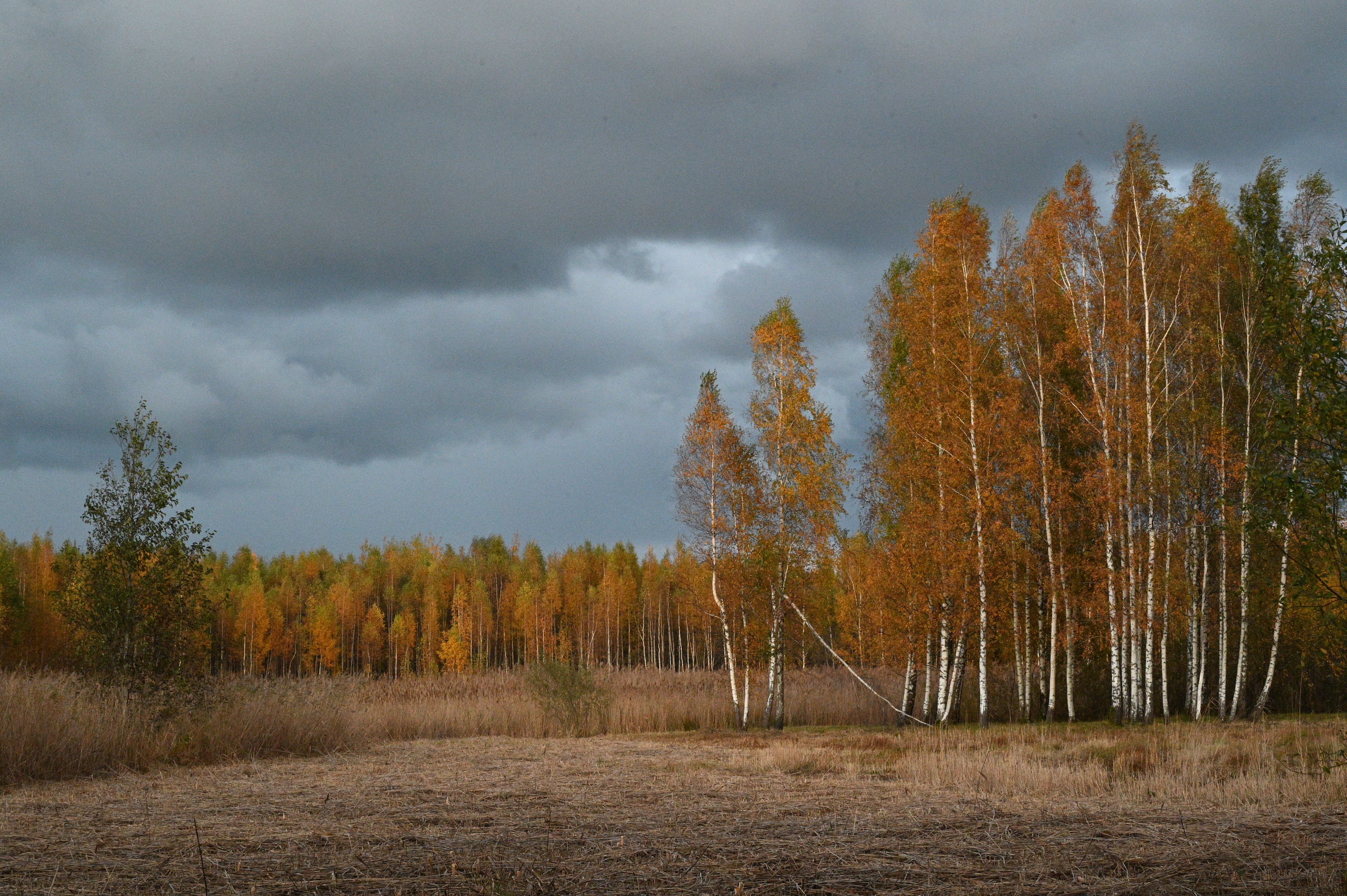 2025/10/18 - walk/DSC_0542.JPG